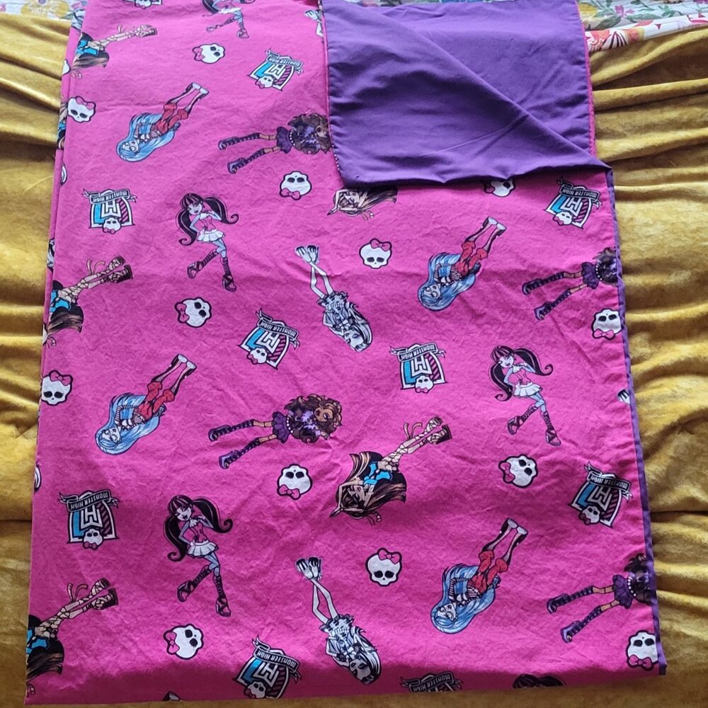 Mattel Monster High Curtain Set 58" x 40"